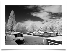 Frozen Bridgewater - Denis McAllister